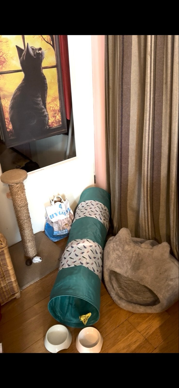 Nieuw Kat spullen kattenmand krabpaal voerbakje  kattezand, Dieren en Toebehoren, Katten-accessoires, Ophalen, Nieuw