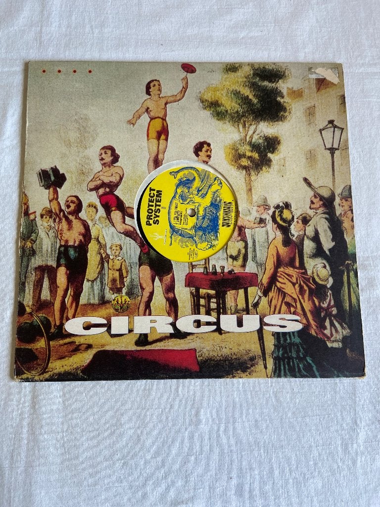 protect system II  -  simplicity, Ophalen of Verzenden, Zo goed als nieuw, 12 inch, Overige typen