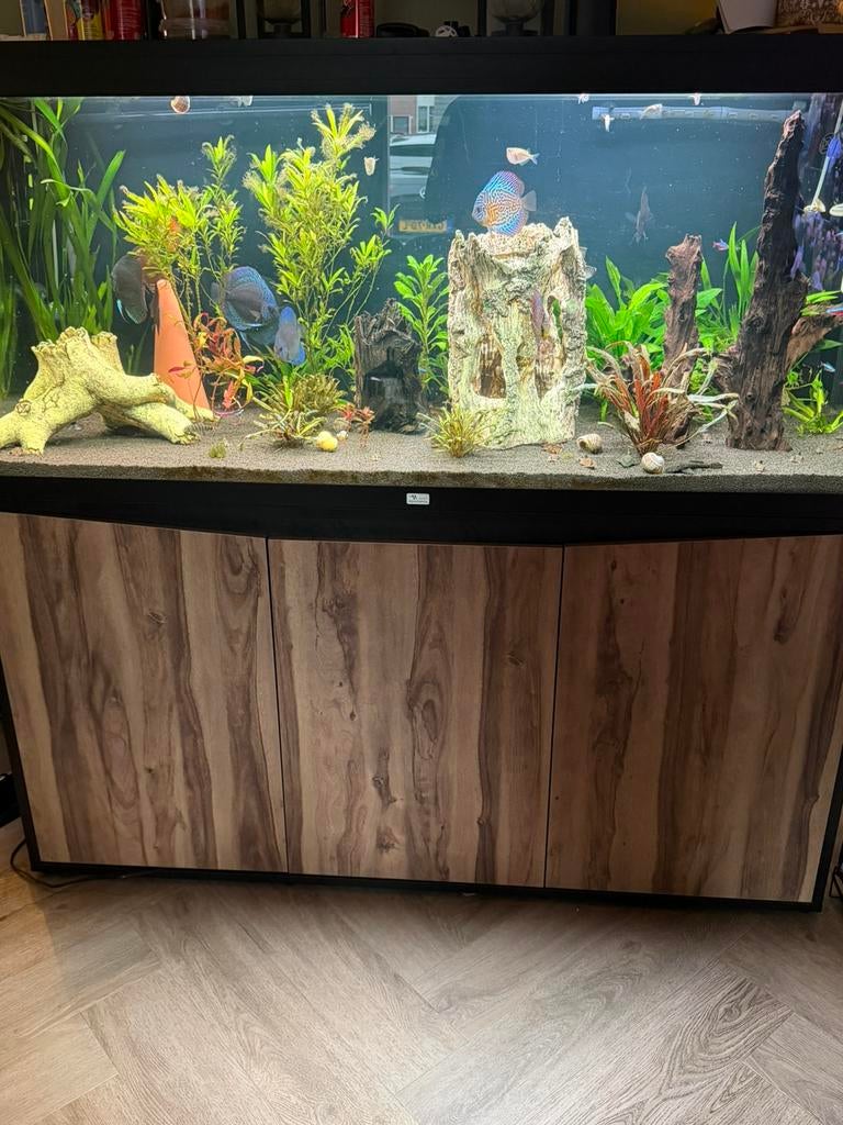 Aqualantis ultra 150x50 met discusvissen, Dieren en Toebehoren, Vissen | Aquaria en Toebehoren, Ophalen of Verzenden, Zo goed als nieuw