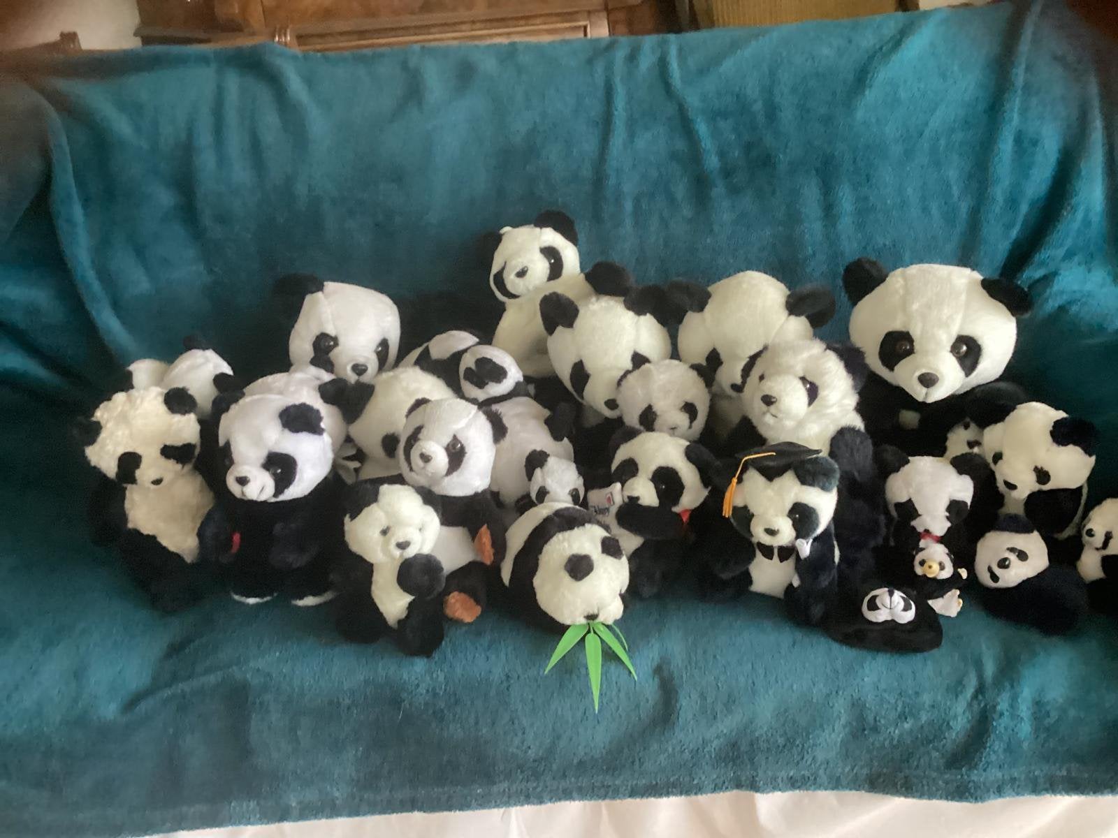 Verzameling panda beren 26 stuks (in 1 koop), Ophalen, Zo goed als nieuw, Stoffen beer, Overige merken