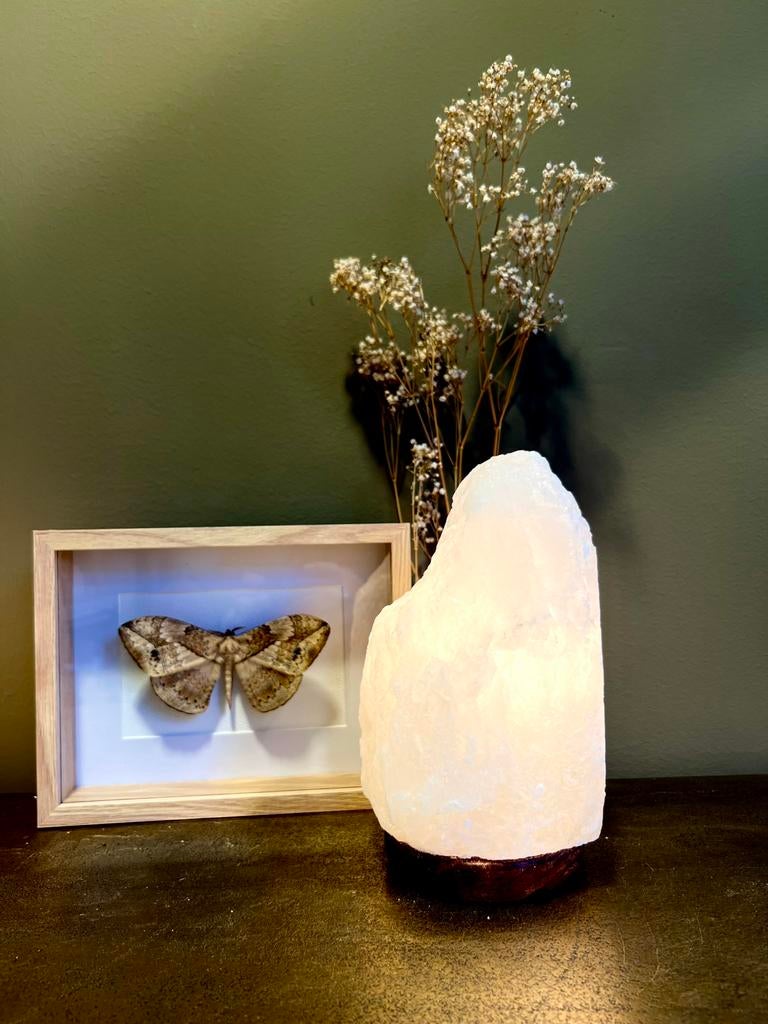 Zoutlamp nieuw invl snoer en 15 watt lampje, Huis en Inrichting, Lampen | Tafellampen, Overige materialen, Nieuw, Ophalen of Verzenden