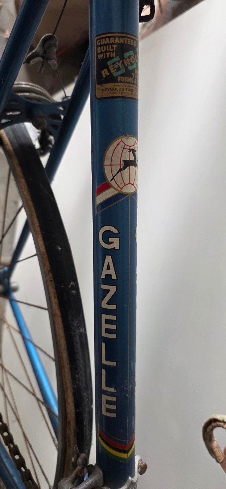 Gazelle Model Piet de Wit 1974 | Reynolds 531 | Campagnolo, Ophalen, Gebruikt, Gazelle, 10 tot 15 versnellingen