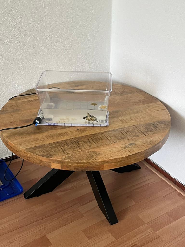 Salontafel, Ophalen, 100 tot 150 cm, 50 tot 100 cm, Zo goed als nieuw