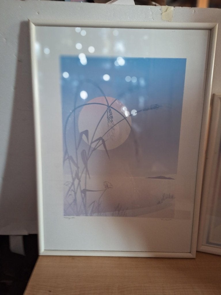litho maan, Ophalen of Verzenden