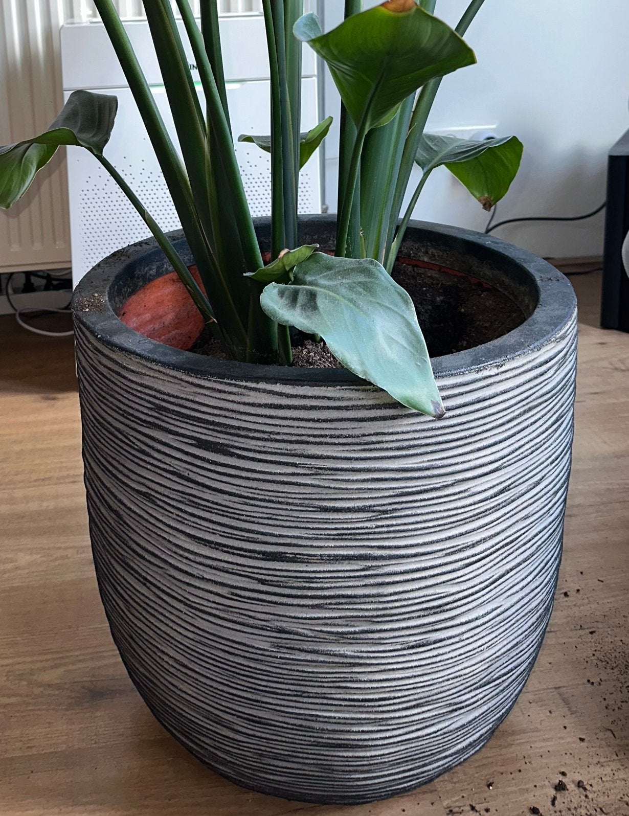 Grote bloempot CAPI met geribbeld design, Ophalen, Kunststof, Gebruikt, 40 cm of meer