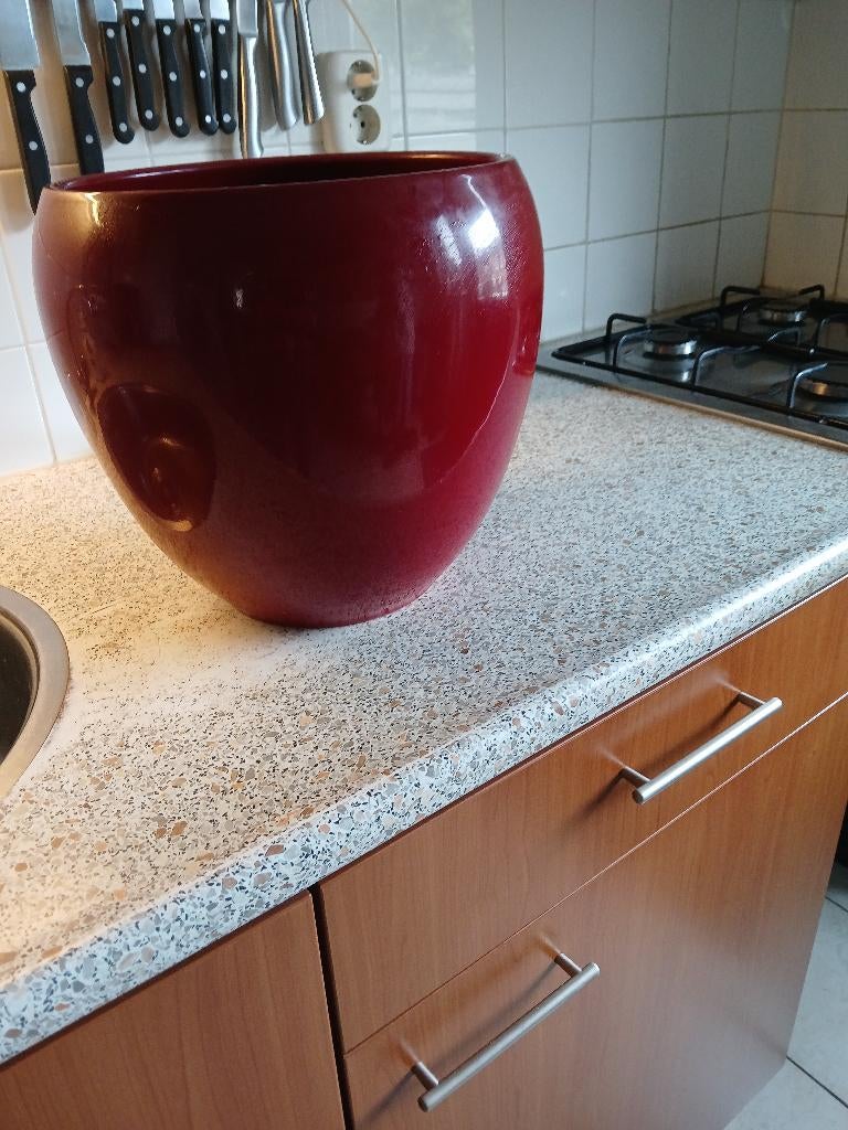 planten pot, Tuin en Terras, Ophalen, Overige soorten, Volle zon