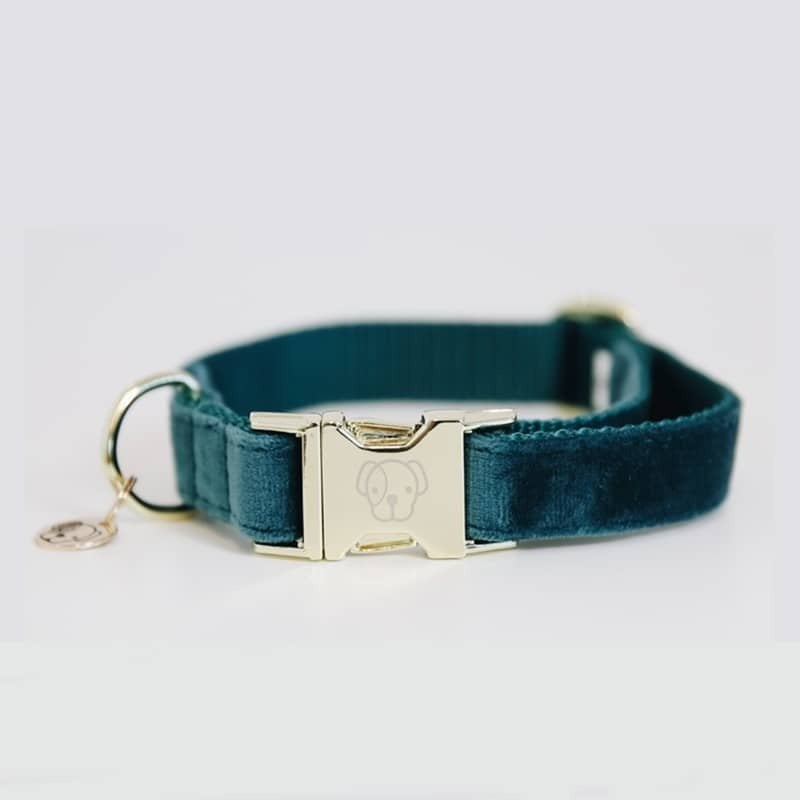 KENTUCKY Velvet Halsband Emerald L Nek 42-68 cm KOOPJE!!!, Ophalen of Verzenden, Nieuw