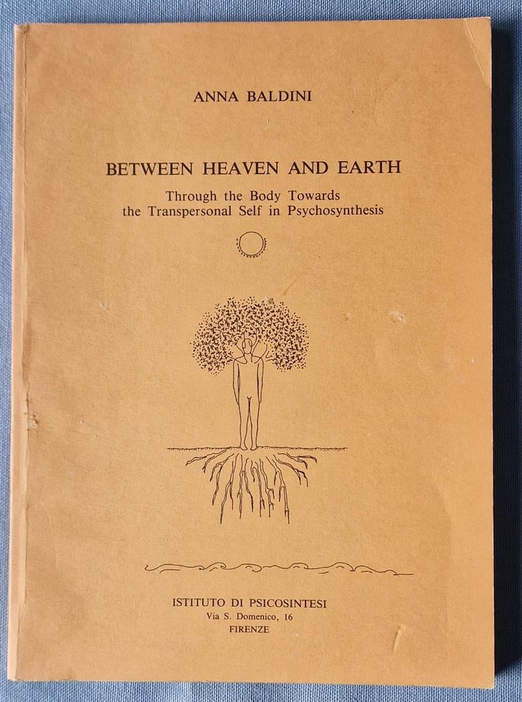 Between Heaven and Earth - Anna Baldini, Anna baldini, Ophalen of Verzenden, Zo goed als nieuw, Gezondheid en Conditie