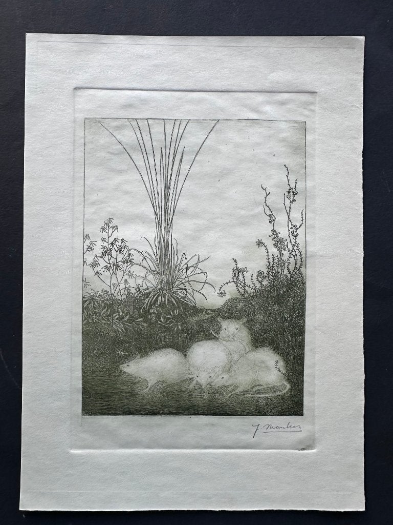 Jan Mankes vier muizen ets, Ophalen of Verzenden