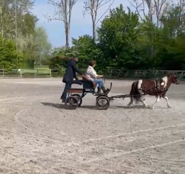 Kar 4-wieler A-pony/Shet + donkerbruinleren tuig met broek., Gebruikt, Overige typen, Pony, Gesloten