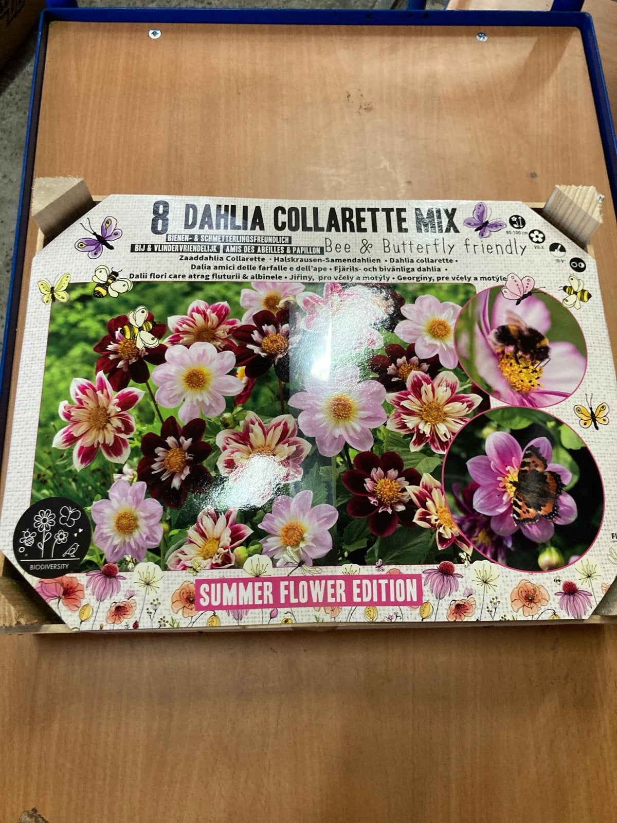 8 Dahlia Collarette Mix - Bij- en vlindervriendelijk, Ophalen of Verzenden, Voorjaar, Volle zon, Bloembol