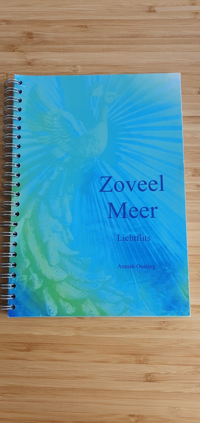 Zoveel Meer Lichtflits - Annick Oosting (Spiritualiteit), Boeken, Ophalen of Verzenden