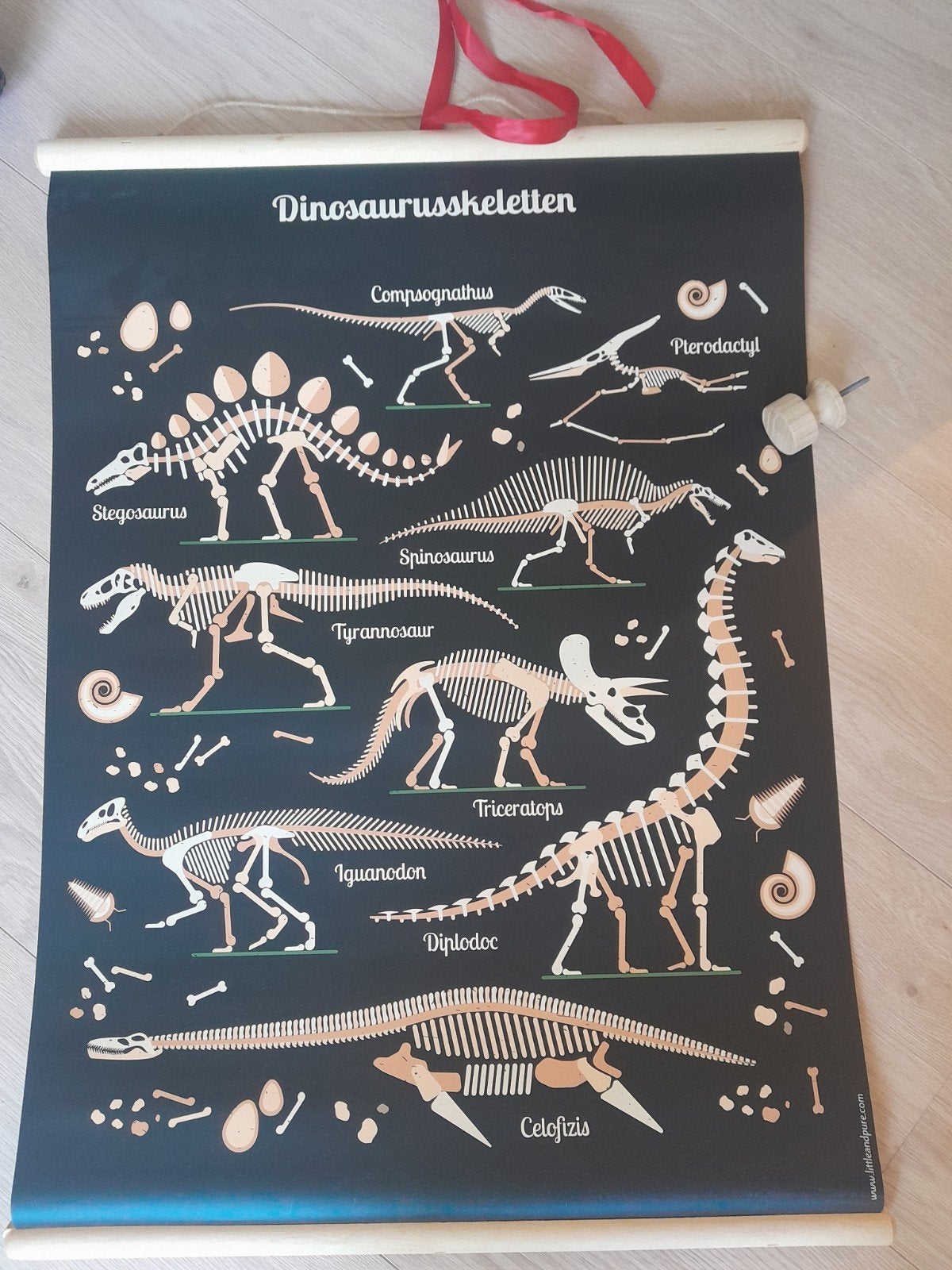 Dubbelzijdige Dinosaurus Poster 50x70 cm met Houten Knop, Ophalen, Rechthoekig Staand, Nieuw, A1 t/m A3