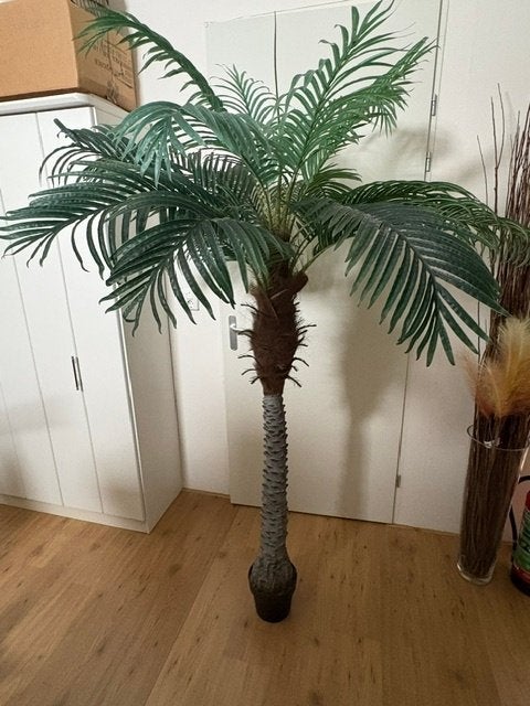 Kunst palm, Ophalen, Zo goed als nieuw, Kunststof, 200 cm