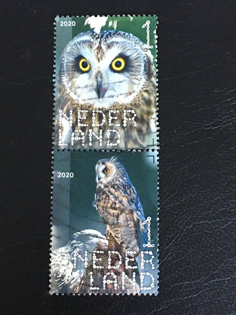 2945 Nederland 2020 NVPH 3815/20 Duo Roofvogels **TANDING**, Ophalen of Verzenden, Na 1940, Gestempeld