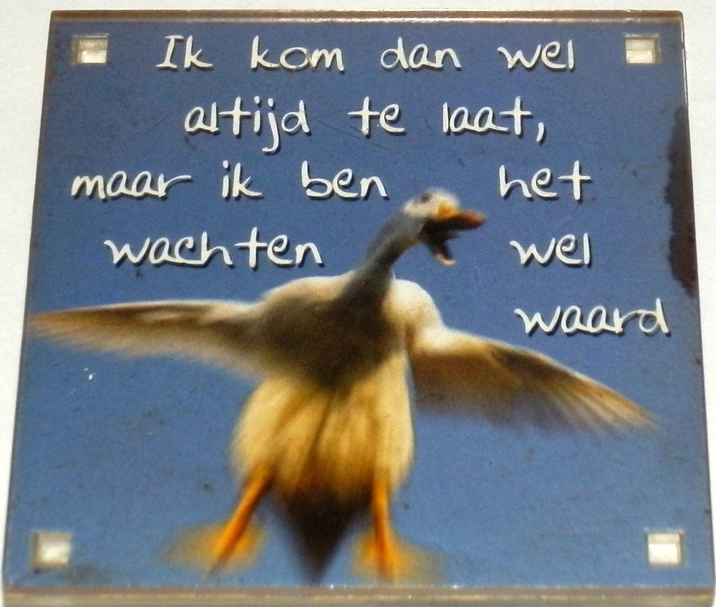 Km177 koelkastmagneet spreuk -, Verzamelen, Ophalen of Verzenden, Zo goed als nieuw