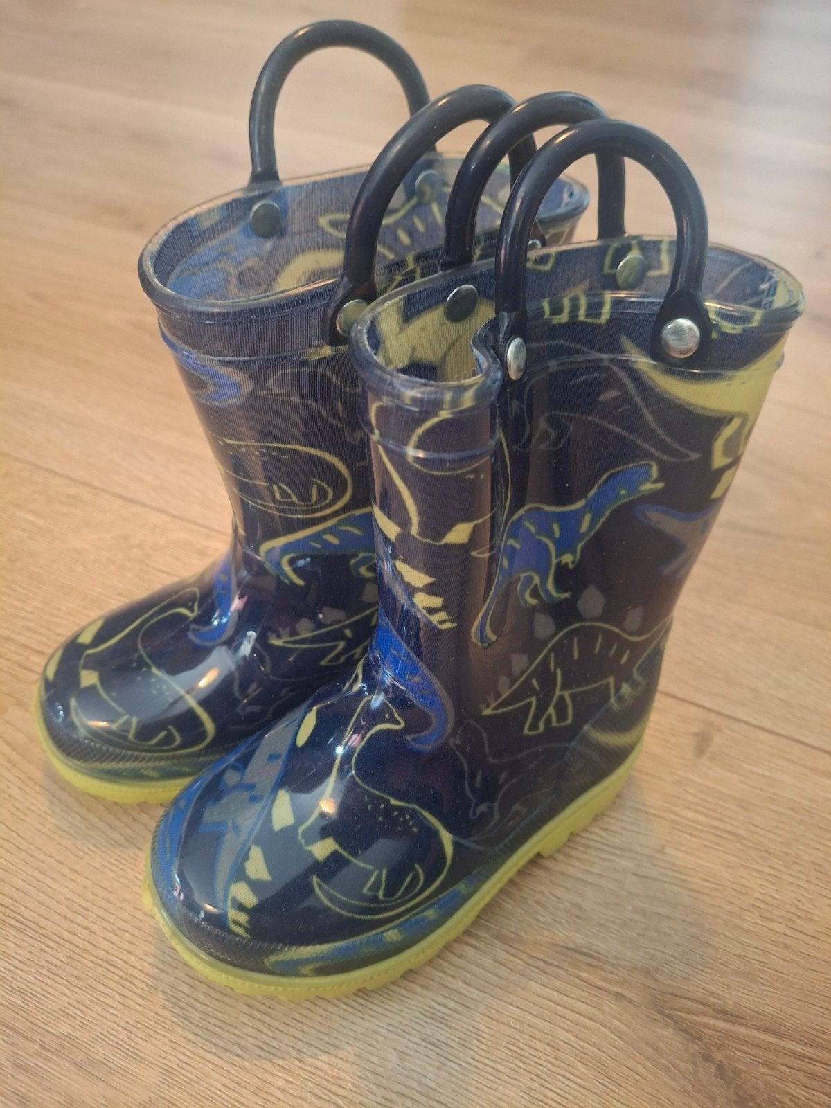 Leuke laarsjes met dino's, maat 22, Ophalen, Gebruikt, Jongen, Laarzen