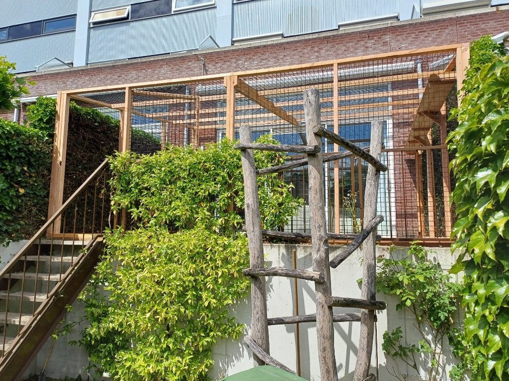 Maatwerk houten kattenren | Duurzame materialen, Ophalen of Verzenden, Nieuw