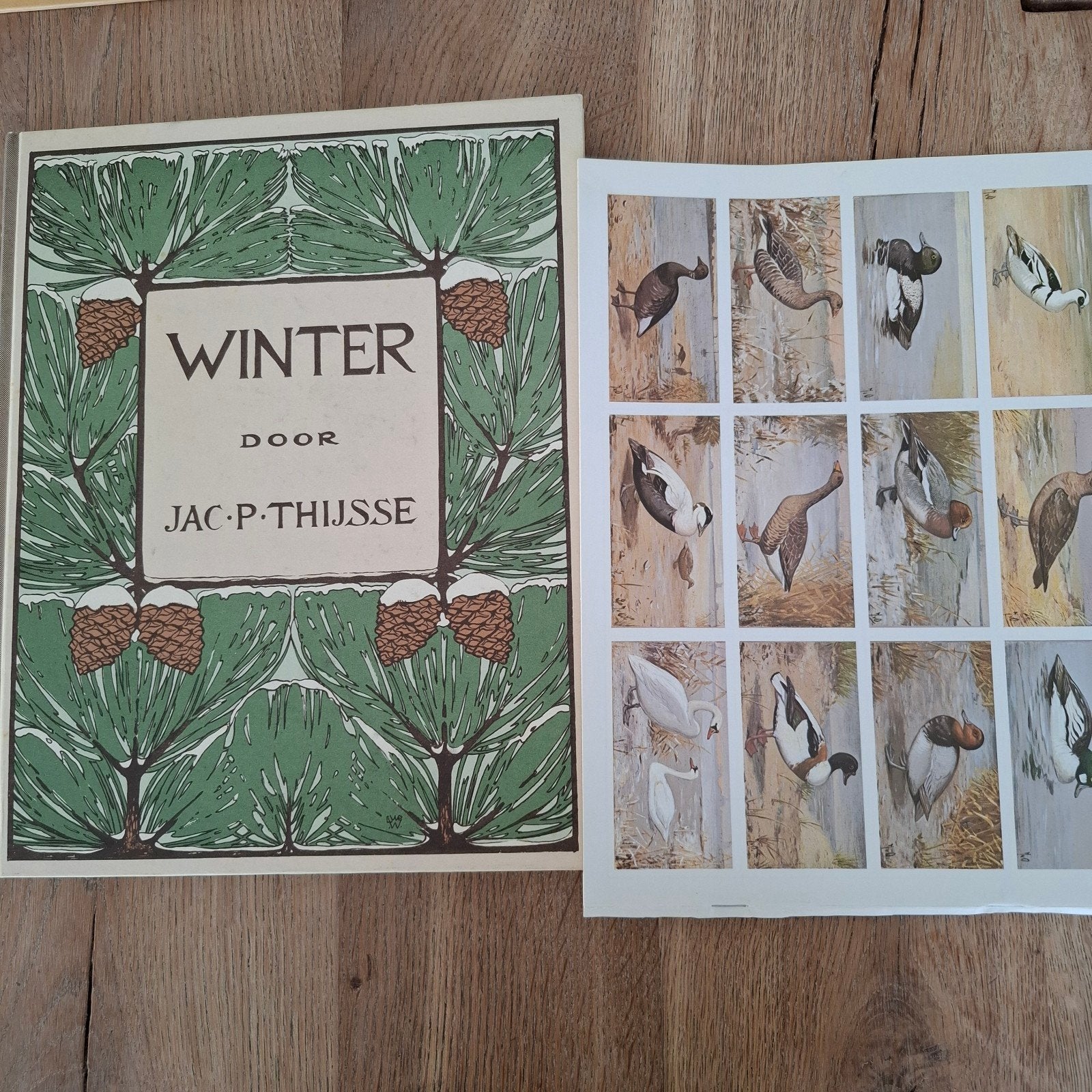 Winter jac. P.thijsse, Ophalen of Verzenden, Zo goed als nieuw