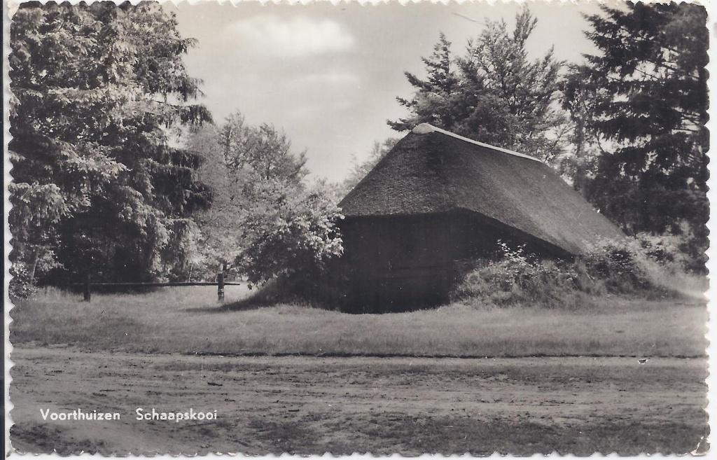 Voorthuizen Schaapskooi Oude Gelopen Ansichtkaart (B380 ), Verzamelen, Ophalen of Verzenden, 1920 tot 1940, Gelopen
