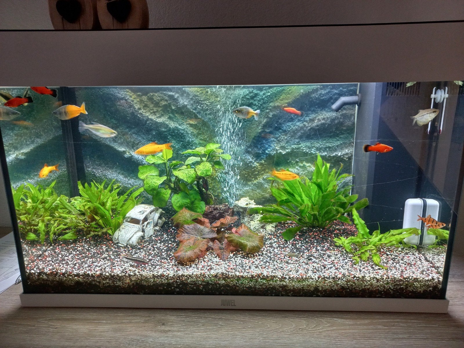 Aquarium helemaal compleet