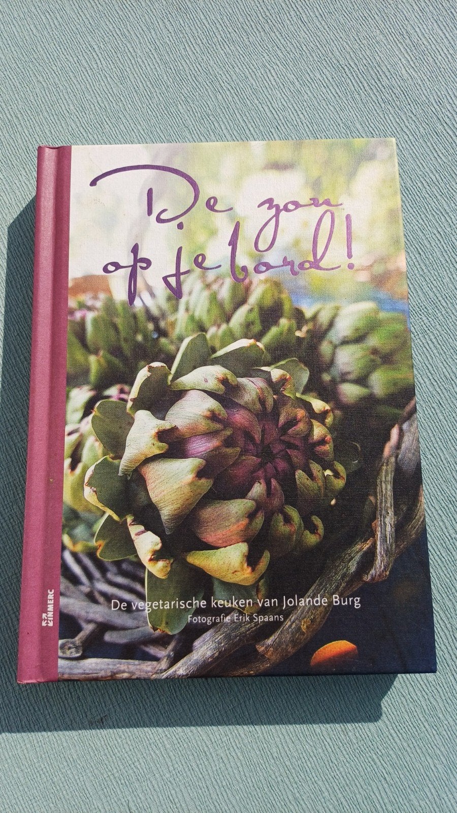Jolande Burg - De zon op je bord! als nieuw kookbook, J. Burg, Ophalen of Verzenden, Zo goed als nieuw, Frankrijk