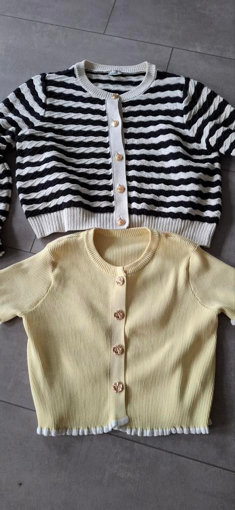 Set van 2 vestjes maat L XL 42 44, Kleding | Dames, Ophalen of Verzenden, Gedragen, Maat 42/44 (L)
