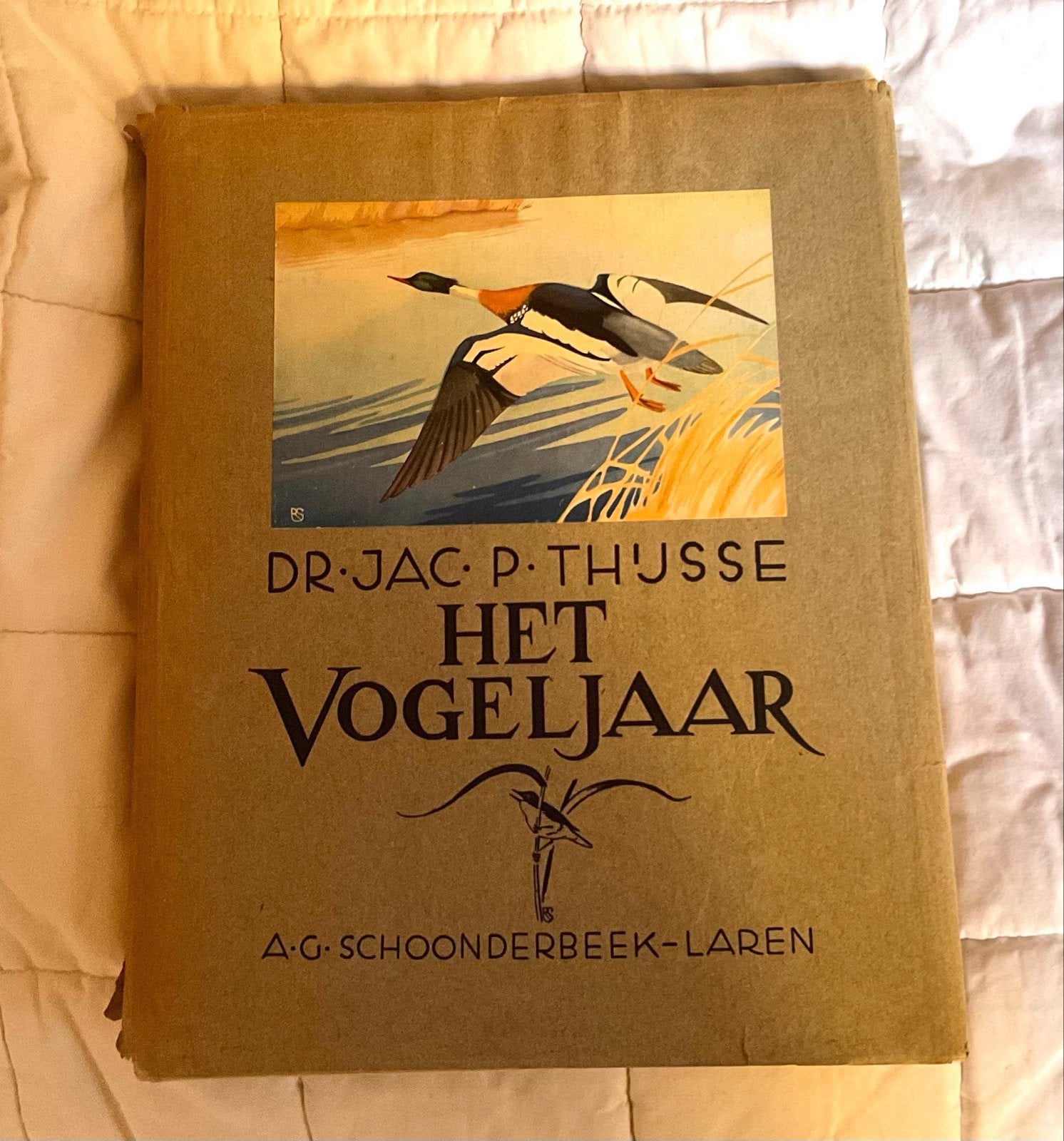 Het Vogeljaar - Dr. Jac. P. Thijsse (Natuurboek), Boeken, Ophalen of Verzenden, Gelezen, Vogels