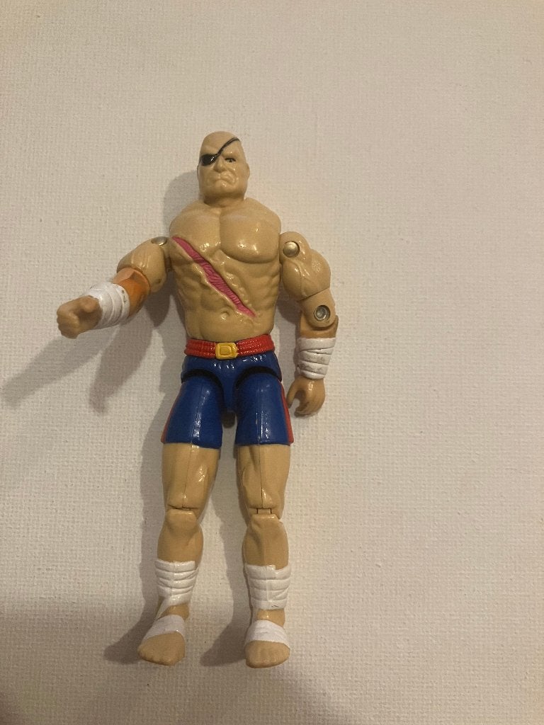 Vintage Actiefiguren GI Joe, Street fighter, HE-man, Ophalen of Verzenden, Nieuw