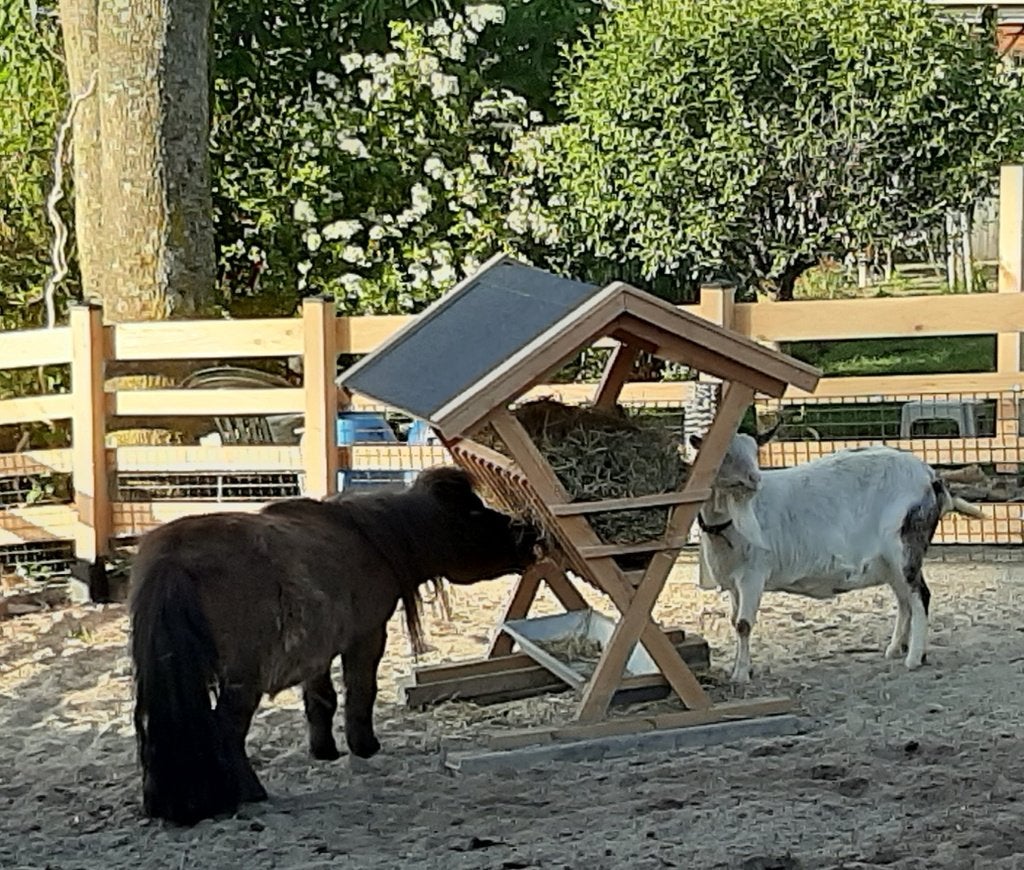 hooiruif, Dieren en Toebehoren, Paarden en Pony's | Overige Paardenspullen, Nieuw, Ophalen of Verzenden