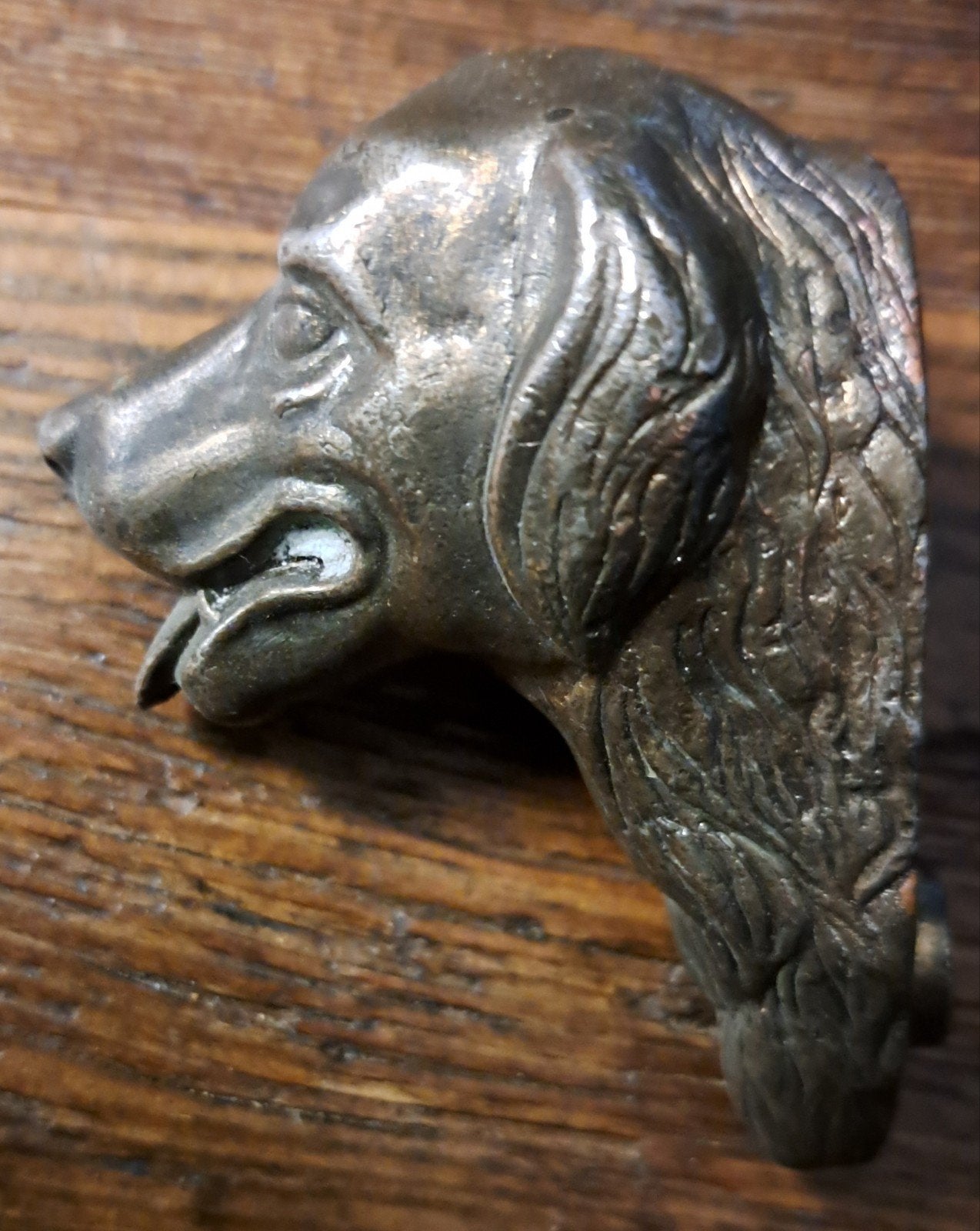 Bronzen(?) hondekop en (tafel) bel, Antiek en Kunst, Ophalen of Verzenden