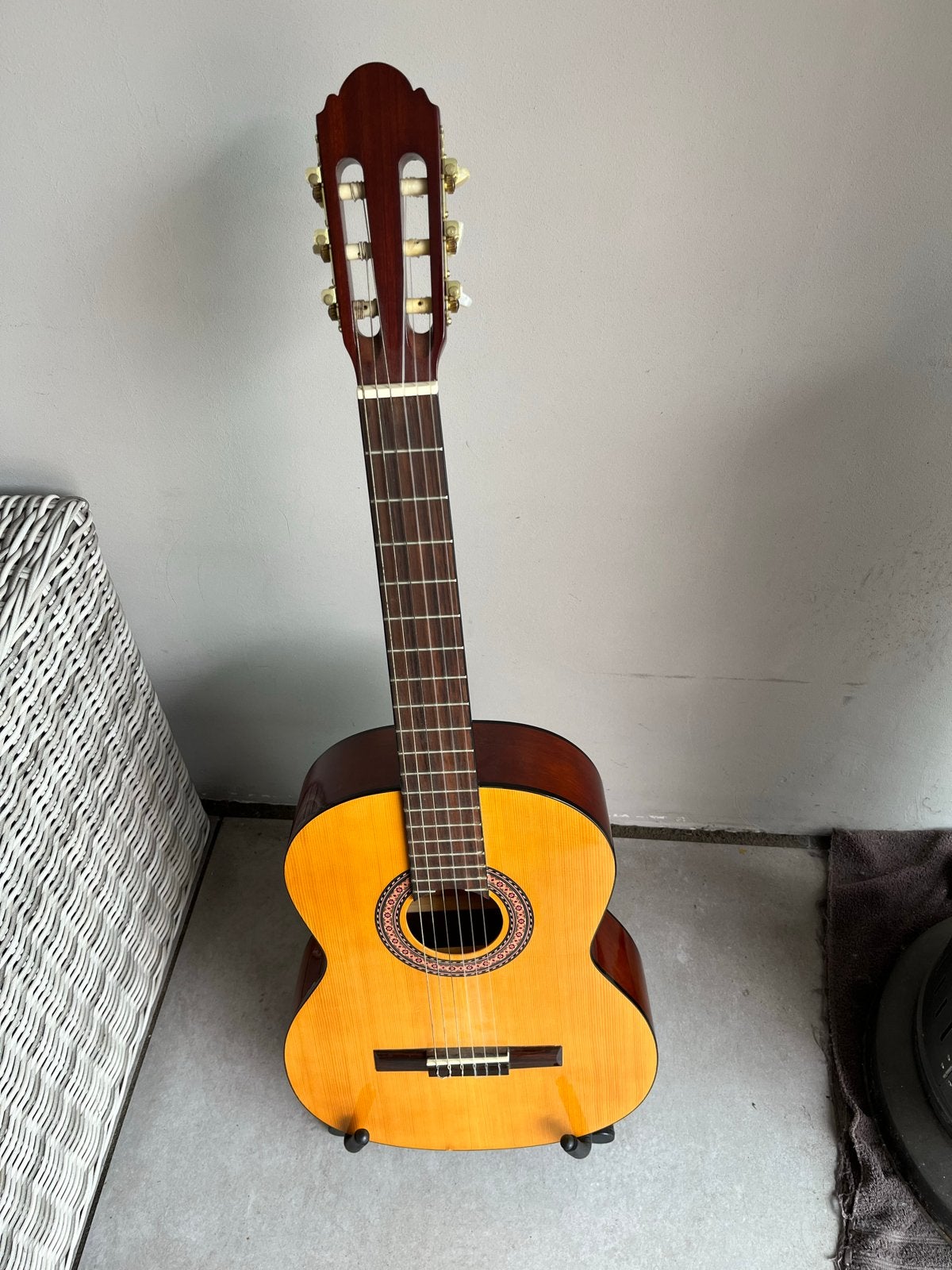 Klassieke gitaar met standaard en hoes, Muziek en Instrumenten, Ophalen of Verzenden, Gebruikt, Klassieke of Spaanse gitaar, Met koffer