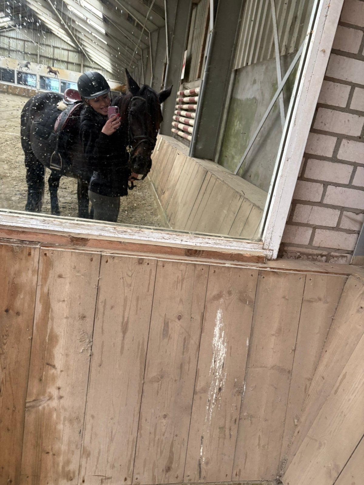 Liefste paardje zoekt 5* huisje, Ophalen of Verzenden, Zo goed als nieuw