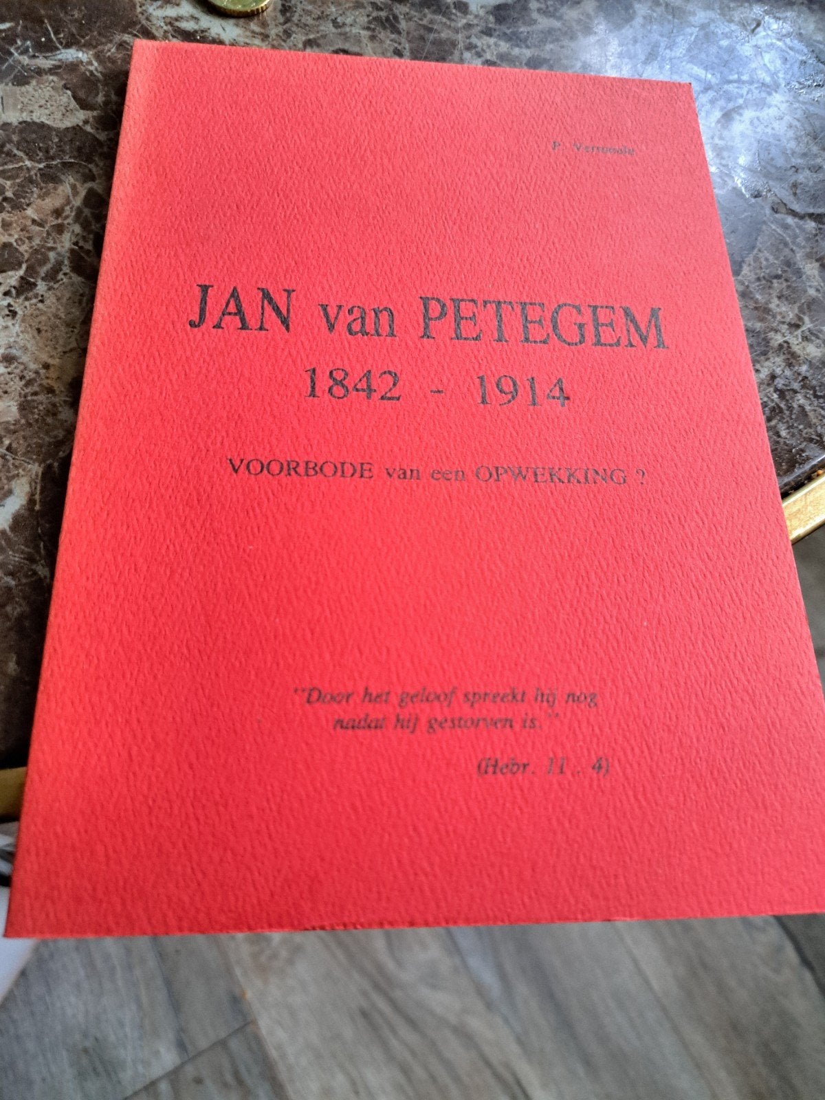 Jan van Petegem 1842-1914: Voorbode van een Opwekking?, Ophalen of Verzenden, Gelezen, P. Vermeulen, Christendom | Protestants
