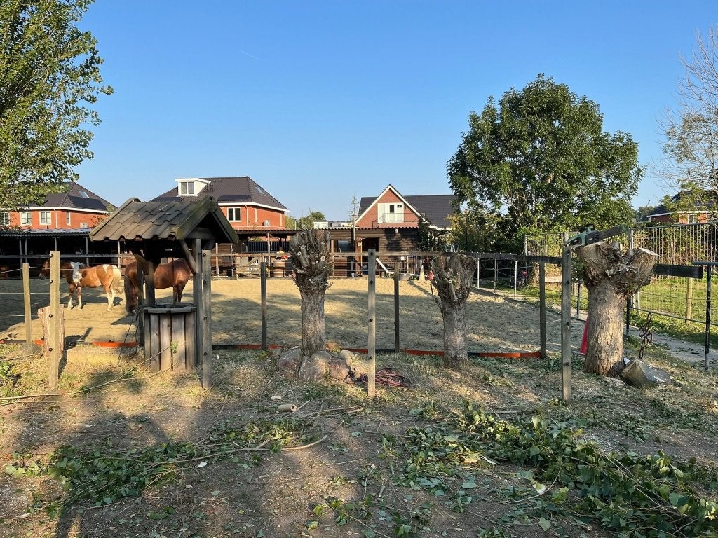 verzorgster, Dieren en Toebehoren, Ophalen, Zo goed als nieuw