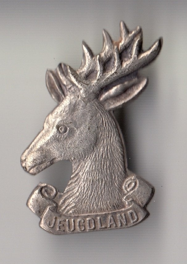 Amsterdam Jeugdland broche, Verzamelen, Gebruikt, Niet vindbaar, Niet vindbaar, Speldje of Pin