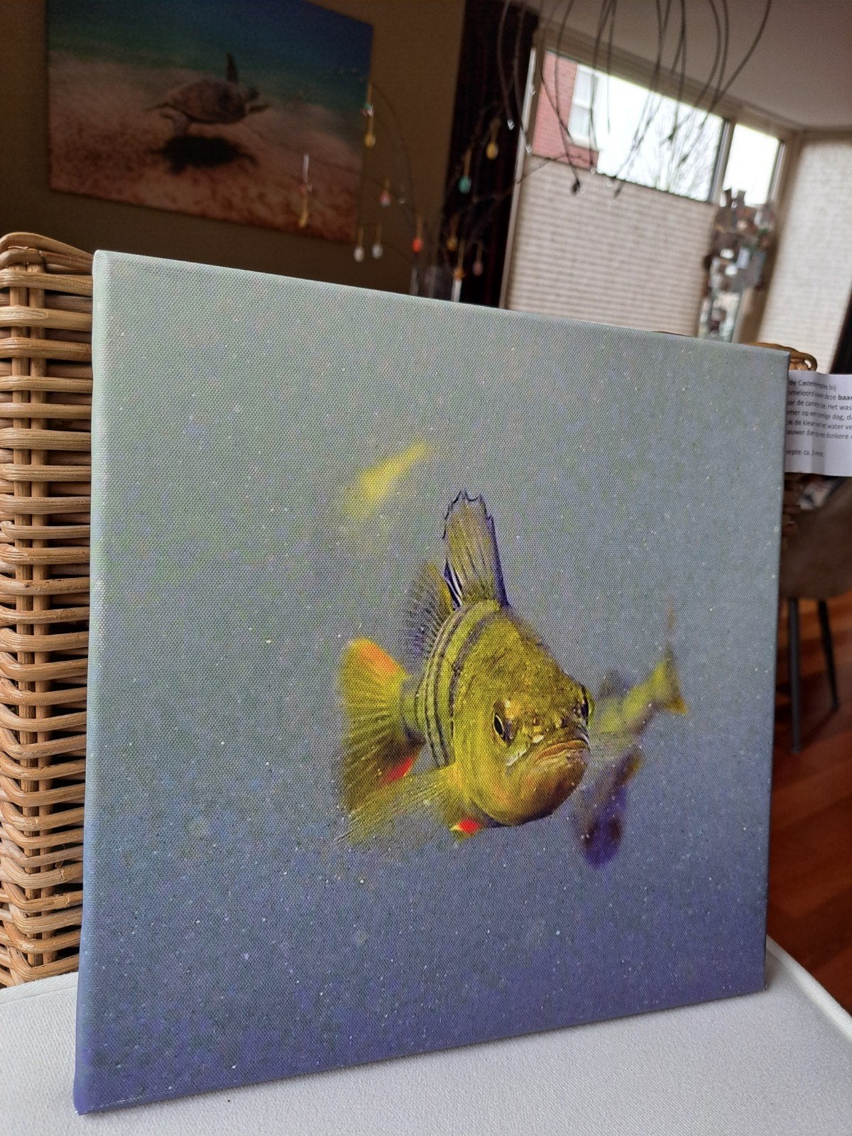 Baars op doek 30x30, Ophalen of Verzenden, Dieren, Print, Gelimiteerde oplage