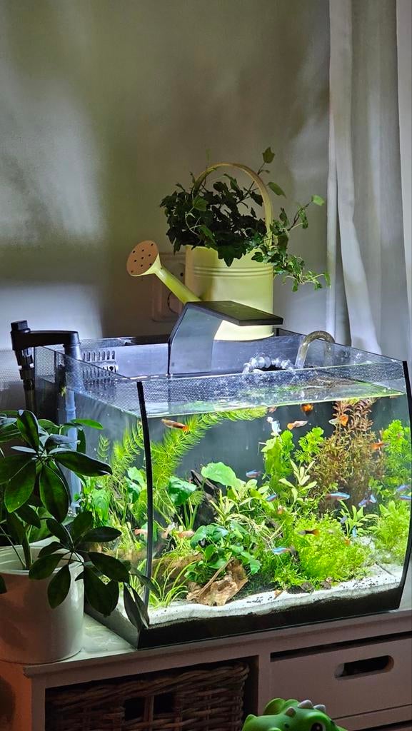 Fluval Flex 57 compleet aquarium, Dieren en Toebehoren, Vissen | Aquaria en Toebehoren, Zo goed als nieuw, Gevuld zoetwateraquarium