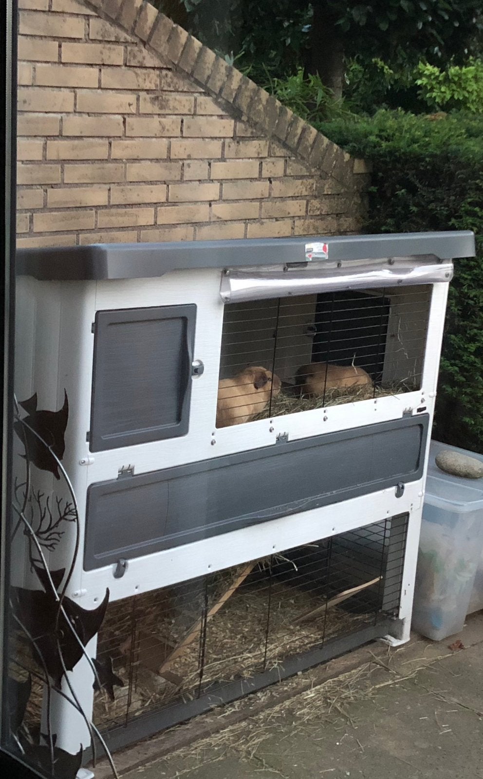 Ferplast hok konijnen of cavias, Dieren en Toebehoren, Knaagdieren en Konijnen | Hokken en Kooien, Ophalen, 90 cm of meer, Konijn