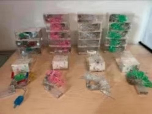 NIEUW! Partij van 16 stuks LED lichtsnoeren, €9,99!, Ophalen of Verzenden, Nieuw