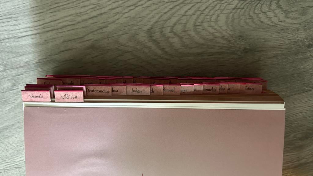 The Pink Jesus Bible - Engelse Bijbel met Roze Omslag, Ophalen