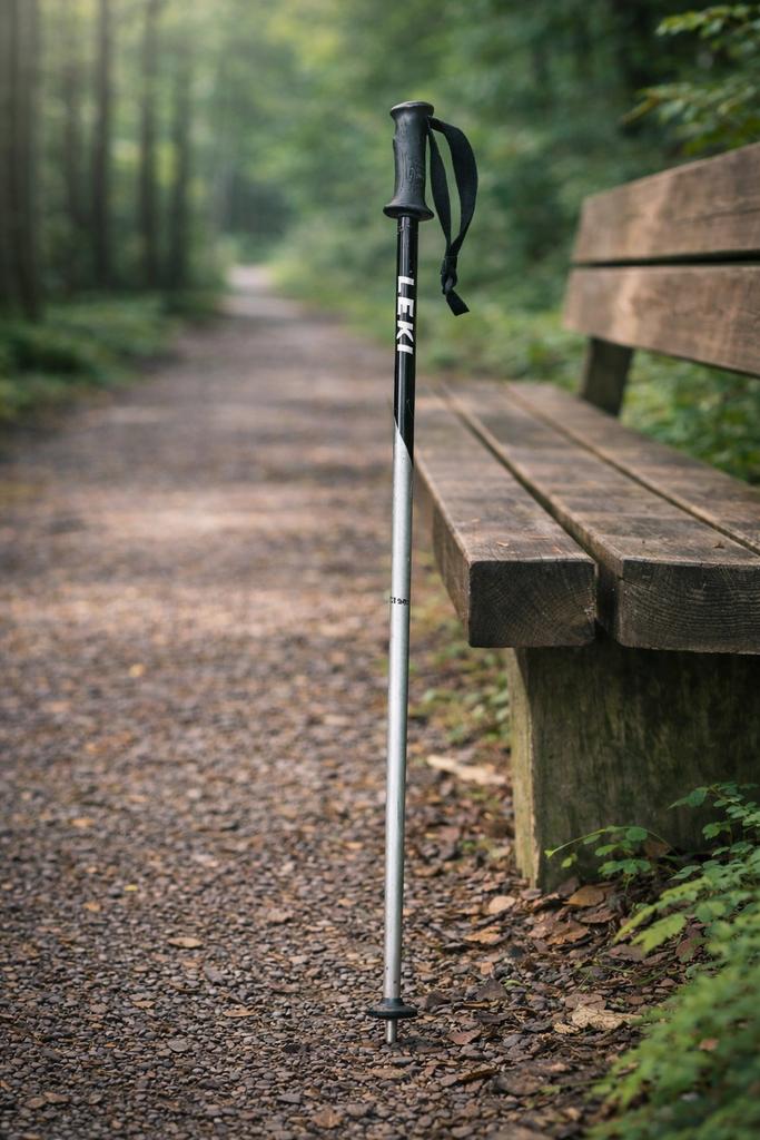 Leki Vista Nordic Walking Stok 120cm, Ophalen, Gebruikt, Wandelstok