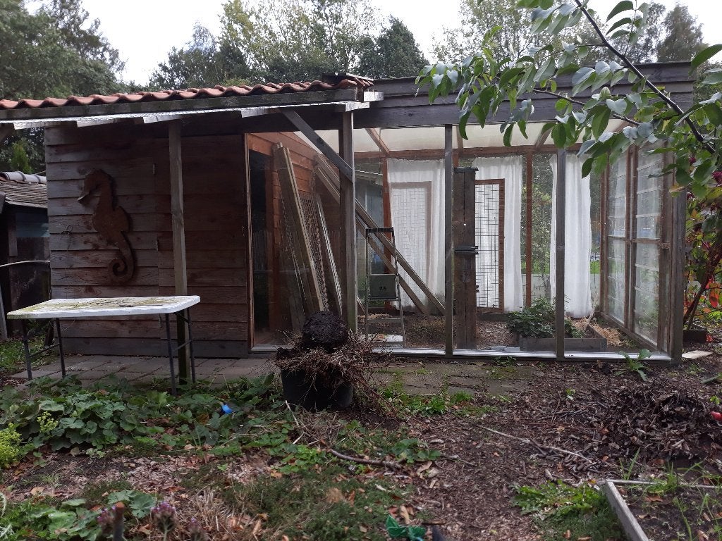 Kas met schuurtje, Tuin en Terras, Ophalen, Gebruikt