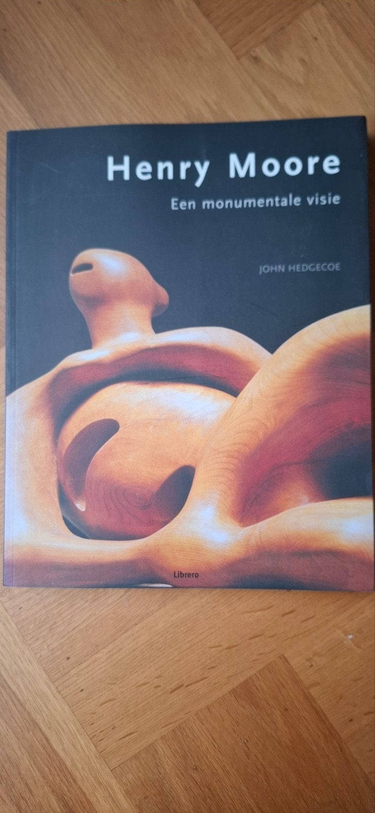 Henry Moore: Een monumentale visie - John Hedgecoe, Boeken, Ophalen of Verzenden, Zo goed als nieuw, Beeldhouwkunst, John Hedgecoe