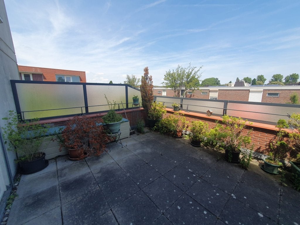 Plantenbakken, planten, stoelen, opbergkisten, Tuin en Terras, Ophalen, Overige soorten, Volle zon