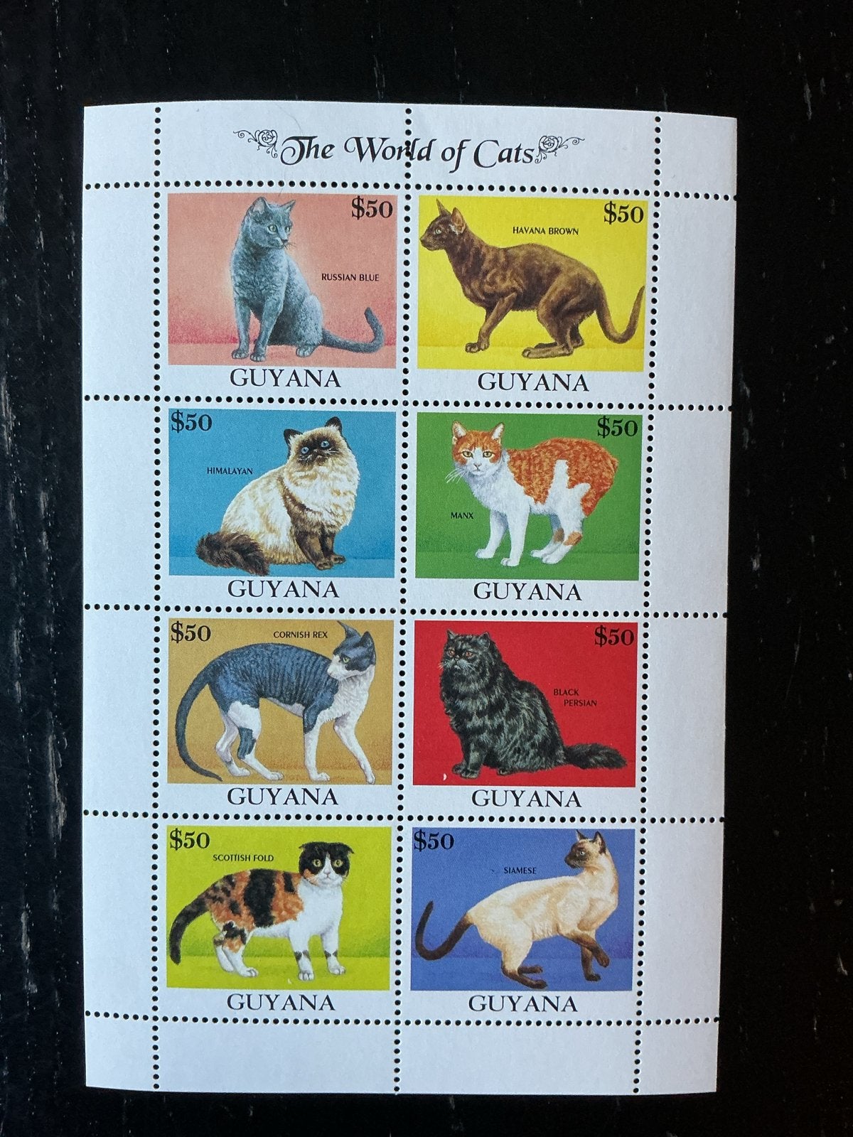 Postzegelvel Guyana "The World of Cats" - Diverse Kattenrass, Ophalen of Verzenden, Postfris, Zuid-Azië