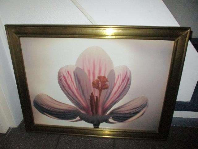 Grote gouden zware lijst schilderij bloem als nieuw, Huis en Inrichting, Ophalen, 50 tot 75 cm, Zo goed als nieuw, Schilderij