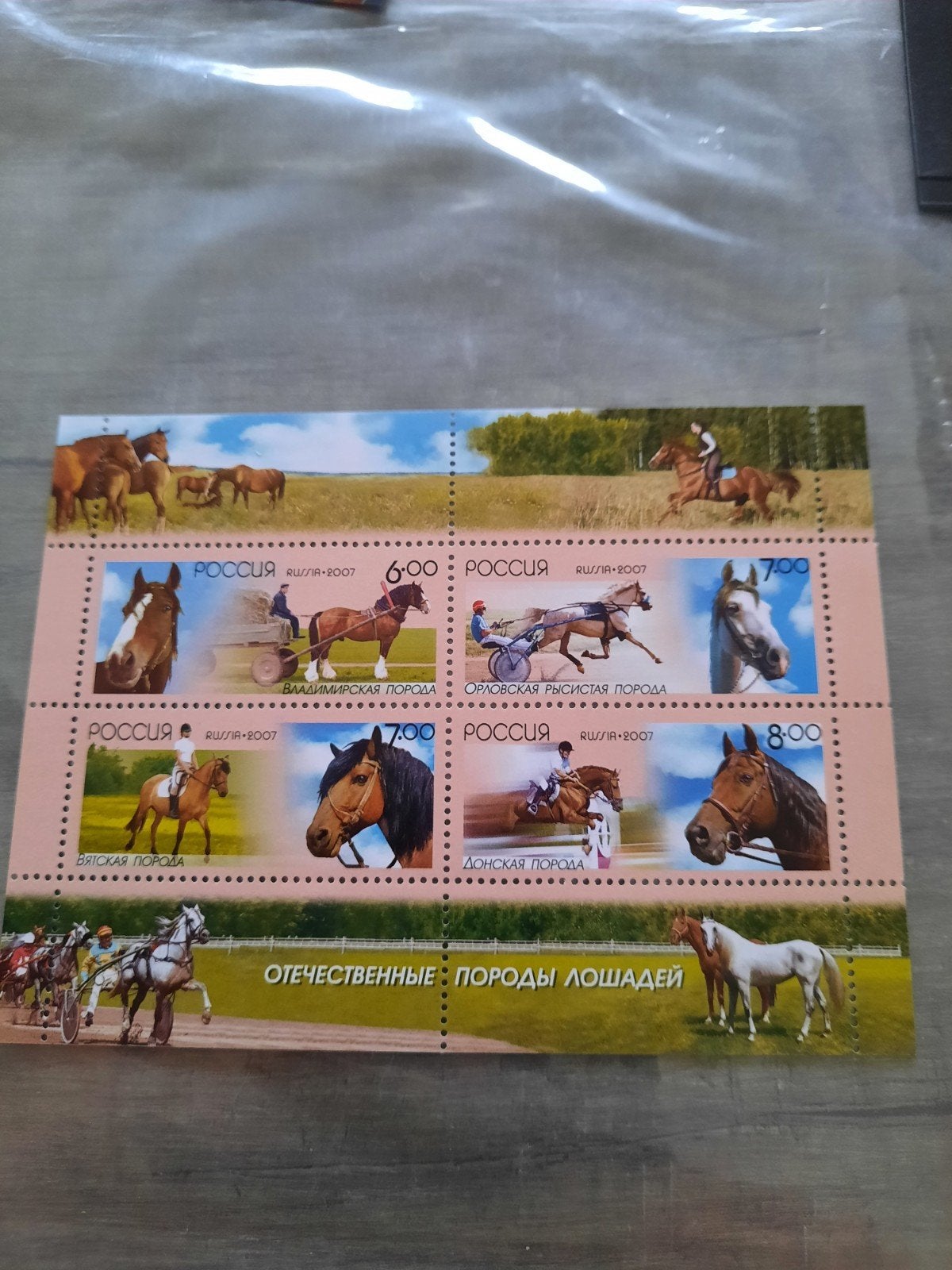Postfris postzegelvel Rusland 2007 - Paardenrassen, Postzegels en Munten, Verzenden