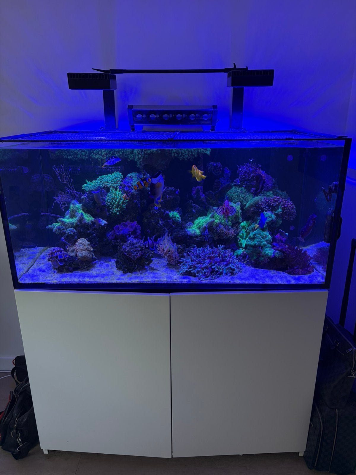 Red sea zee aquarium te koop 120 x 60 x 60, Ophalen, Zo goed als nieuw, Leeg aquarium
