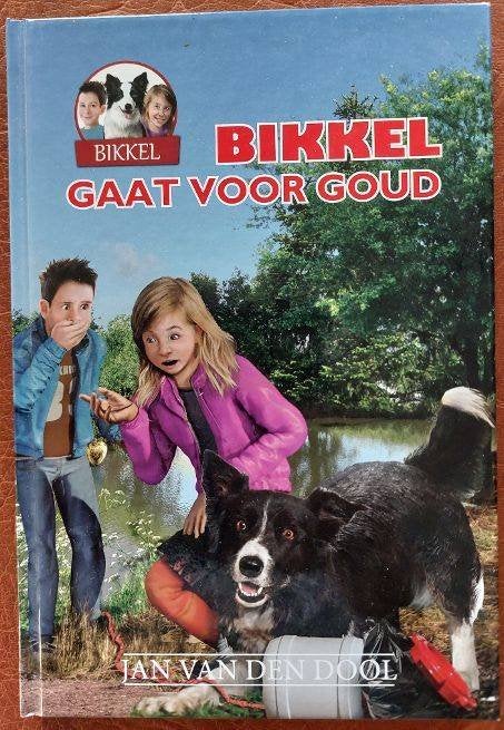 Jan van den Dool: Bikkel gaat voor goud, Ophalen of Verzenden, Zo goed als nieuw, Non-fictie